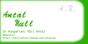 antal mull business card